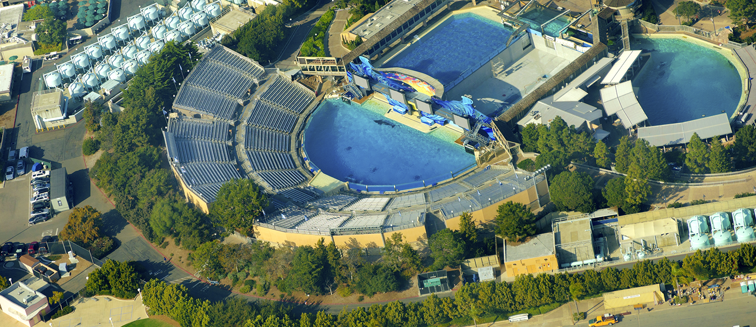 We Are Located Close To Sea World San Diego